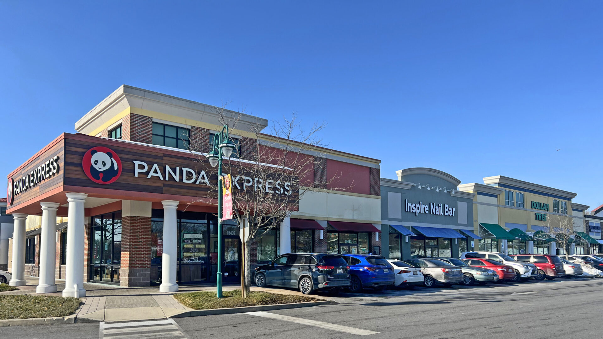 Bowie TC Photo 1 edit